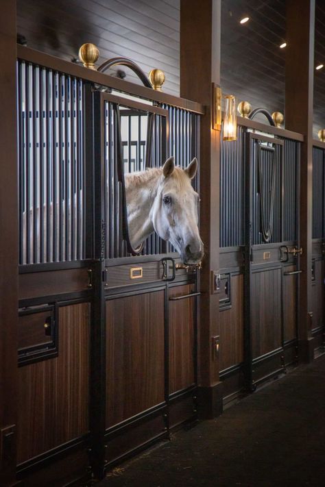 Stable Inspiration, Luxury Horse Stables, Luxury Horse Barns, Equine Facility, Dream Barn Stables, Luxury Horse, Equestrian Property, Equestrian Barns, Horse Barn Ideas Stables