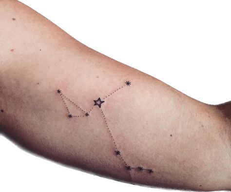 Canis Major Constellation Tattoo, Canis Major Tattoo, Canis Major, Party Tattoos, Constellation Tattoo, Lavender Haze, Constellation Tattoos, Tattoo Placement, Maybe Someday