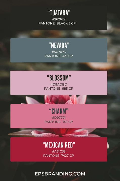 Modern Pink Color Palette, Color Palette Girly, Pink Aesthetic Color Palettes, Color Pink Palette, Pink Palette Colour Schemes, Color Pallets Pink, Pink Neutral Color Palette, Brand Pallete, Pink Branding Color Palette