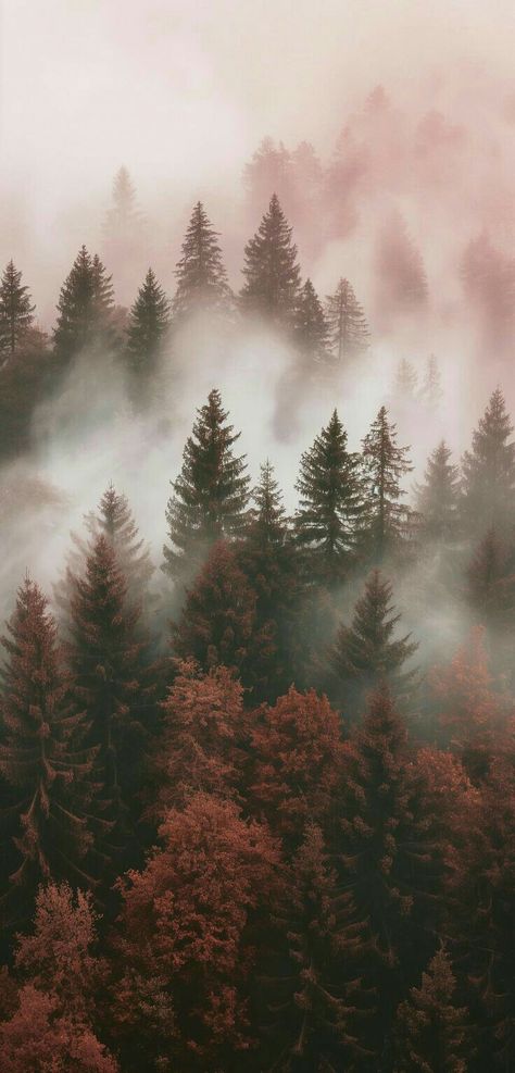 Hygge Iphone Wallpaper, Woods Wallpaper Iphone, Iphone Neutral Wallpaper, Foggy Mountain Aesthetic, Sweater Weather Aesthetic Wallpaper, Misty Forest Aesthetic, Cute Backgrounds Aesthetic Landscape, Nordic Wallpaper, Iphone Wallpaper Mountains