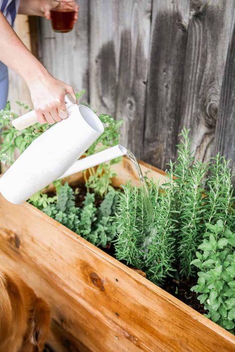 DIY Wooden Herb Garden Planters for less than $100! - College Housewife Herb Garden Boxes, Raised Herb Garden, Herb Planter Box, Backyard Herb Garden, Garden Planters Diy, Diy Planters Outdoor, Herb Garden Planter, Outdoor Herb Garden, Garden Boxes Diy