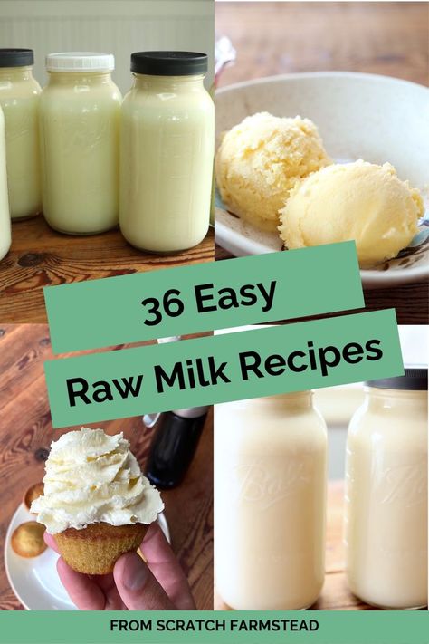 36 Easy Raw Milk Recipes To Use Up Extra Milk - From Scratch Farmstead Raw Cow Milk Recipes, From Scratch Farmstead, Excess Milk Recipes, Recipes To Use Up Milk, Family Milk Cow, Fancy Coffee Drinks, Goat Milk Recipes, Cheese Homemade, Fermented Milk