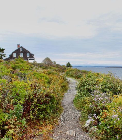 Scenery Reference Photos, Coastal Mood Board, New England Gothic, Harpswell Maine, Maine Homes, Maine State, England Homes, Maine Travel, Maine Coast