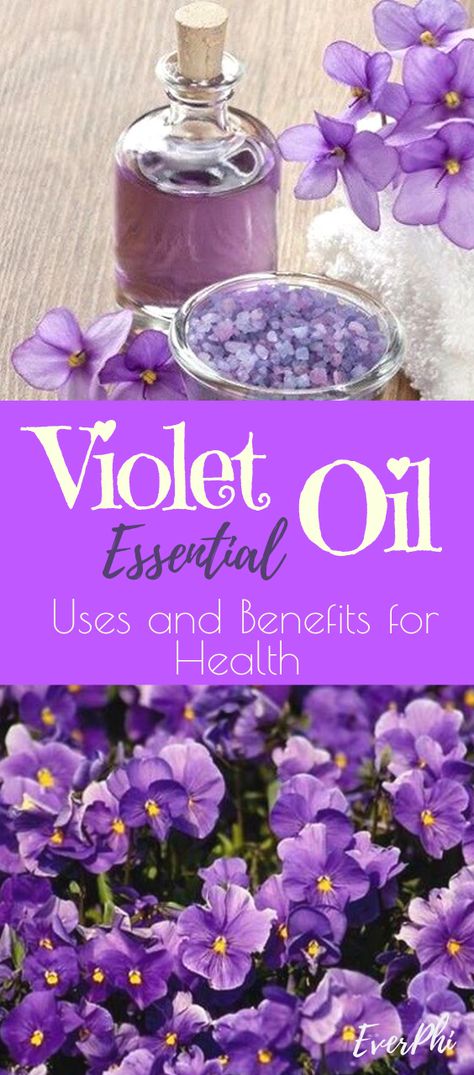 Violet essential oil or violet absolute, is a viscous and greenish brown extract obtained from Viola odorata L.  Its pleasant aroma is strong, sweet, leafy and with a tender floral undertone. Violet Essential Oil, Essential Oils Uses Chart, Violet Recipes, Homemade Skincare, List Of Essential Oils, Sweet Violets, Diy Essential Oils, Oil Benefits, Scented Oils