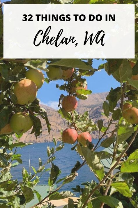 Looking for a destination getaway in Washington? You should visit Lake Chelan! It's one of our favorite places to vacation in Washington State. In this post, we share 32 fun activities to enjoy while visiting Lake Chelan.
#wanderlust
#lakechelan
#washington
#travel Lake Chelan Washington, Lake Stevens Washington, Moses Lake Washington, Places To Vacation, Chelan Washington, Lake Chelan, Pacific Northwest Travel, Washington Travel, Hiking Guide