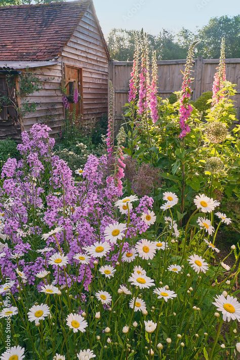 Elements of a English Cottage Garden - on lakeshore drive Terraced Cottage Front Garden, English Cottage Yard, Classic English Garden, Cottage Garden Hedge, English Cottage Flowers, Small English Cottage Garden, Wild Cottage Garden, British Cottage Garden, English Country Gardens Cottage