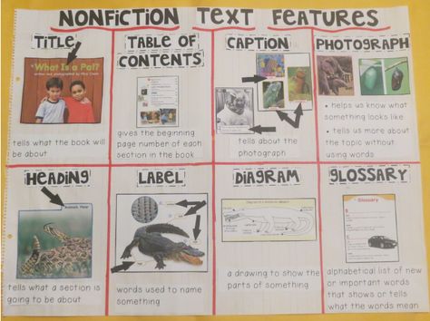 I use tons of anchor charts in my classroom.  Some are used for one lesson while some hang in the classroom all year long so they can be ref... Text Features Anchor Chart 1st Grade, Text Features First Grade, Anchor Chart 1st Grade, Text Features Anchor Chart, Nonfiction Anchor Chart, 2nd Grade Anchor Charts, Text Feature Anchor Chart, Anchor Charts First Grade, Nonfiction Text Features Anchor Chart