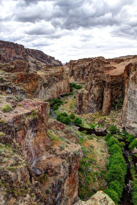 Succor Creek and Leslie Gulch, Eastern Oregon #oregon #easternoregon #pacificnorthwest #pnw Leslie Gulch, Southern Idaho, Oregon Hikes, Oregon Vacation, Portland Travel, Oregon Road Trip, Painted Hills, Eastern Oregon, Surfing Pictures