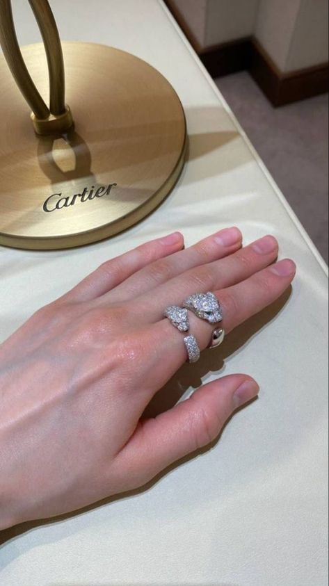 Arab Lifestyle, Garden Luxury, Tiffany Ring, Paris Garden, The Bling Ring, Aesthetic Brown, Cartier Panthere, Expensive Jewelry Luxury, Dope Jewelry