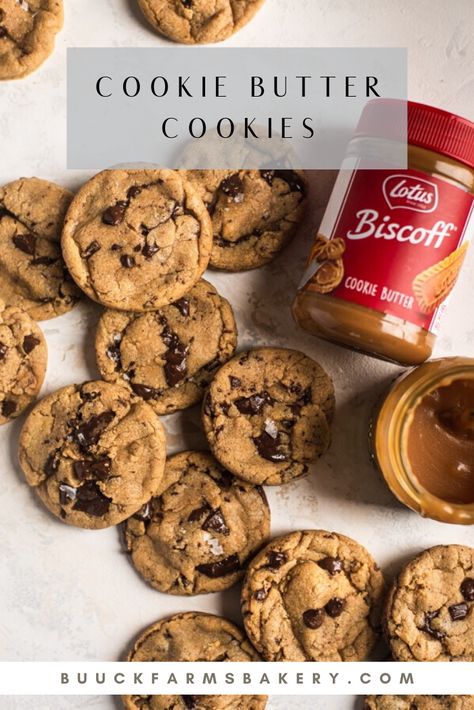 Chocolate Chip Cookie Butter Cookies, Easy Easy Desserts, Recipe With Cookie Butter, Things To Do With Cookie Butter, Things To Make With Cookie Butter, Chocolate Chip Biscoff Cookies, Cookie Butter Cookie Recipes, Uses For Cookie Butter, Cookie Butter Chocolate Chip Cookies