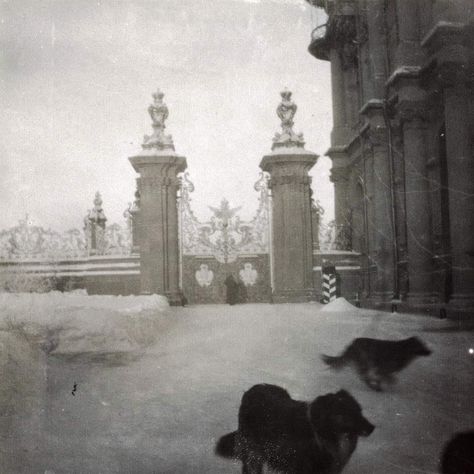 Imperial Russia Aesthetic, Russian Royalty Aesthetic, Blue Da Ba Dee, Anastasia Romanov, House Of Romanov, Russian Winter, Winter Palace, Royalty Aesthetic, Royal Aesthetic