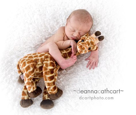 Love this idea. Newborn Baby Care, Baby Props, A Giraffe, Newborn Shoot, Toys Kids, Safari Baby, Newborn Baby Photography, Baby Giraffe, Newborn Care