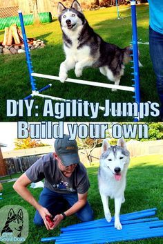 Build your own Agility Jumps Dog Agility Course, Dogs Diy Projects, Agility Training For Dogs, Dog Minding, Dog Training Classes, Dog Games, Agility Training, Husky Mix, A Husky