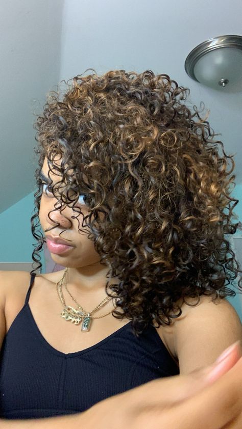 Curly Hair 3b/3c Highlights, Curly Dyed Hair Natural Curls, Baddies Hairstyle, Color Stripping Hair, Curly Highlights, Silk Press Natural Hair, Dyed Curly Hair, Curly Hair Care Routine, Highlights Curly Hair