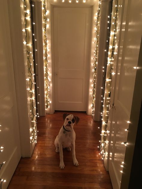 Lights Inside Window Christmas, Christmas Light Indoor Ideas, Interior Christmas Light Ideas, Doorway Decor Christmas, Christmas Hallway Lights, Half Wall Christmas Decor, Hallway Ornaments, Christmas Lights In Hallway, Hallway Christmas Lights