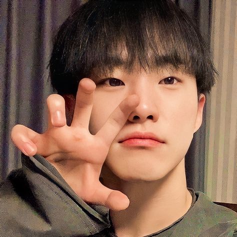 Hoshi Tiger Pose, Hoshi 2023, Hoshi Horanghae Pose, Hoshi Selfie, Horanghae Hoshi, Hoshi Cute, Hoshi Horanghae, Hoshi Tiger, Freebie Stickers