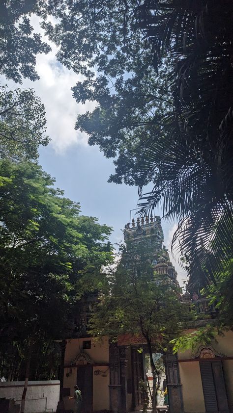 South Indian Temple, Indian Temple, Background Images Hd, Background Images, Mood Board, Temple, Quick Saves