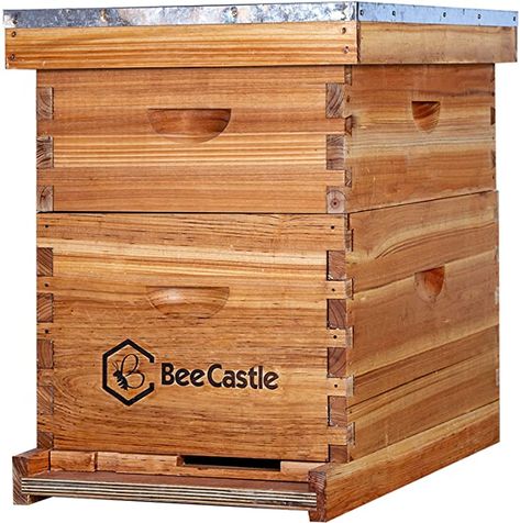 Amazon.com : 10-Frames Complete Beehive Kit, 100% Beeswax Coated Bee Hive Includes Frames and Beeswax Coated Foundation Sheet (2 Layer) : Patio, Lawn & Garden Langstroth Hive, Bee Supplies, Honey Bee Hives, Bee Keeping Supplies, Bee Boxes, Bee Hives, Dove Tail Joints, 10 Frame, Natural Wax