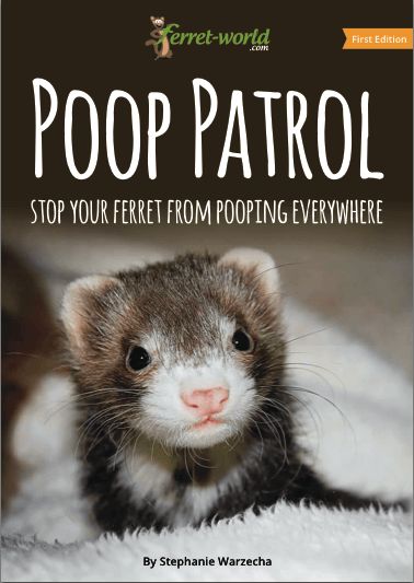 Ferret poop everywhere? Time to stop the mess. Get everything you need to potty train your ferret now. Grab your copy of the "Poop Patrol" ebook today! Diy Ferret Stuff, Ferret Tips, Ferret Diy, Ferret Toys, Ferrets Care, Ferret Cage, A Ferret, Pet Ferret, Cute Ferrets