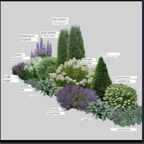 Easement Landscaping Backyards, Tall Landscaping Ideas, Front Yard Landscaping One Story House, Landscape Beds Around House, The Lifestyled Co 64th Build, Pool Filter Landscaping Ideas, Southern California Front Yard Landscaping Ideas, Nj Landscaping Ideas, Ferns Front Yard