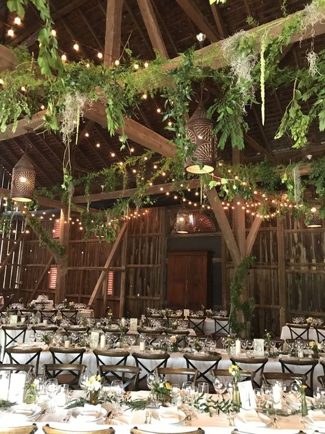 Wedding Greenery From Ceiling, Wedding Ceiling Lights And Greenery, Plant Wedding Reception, How To Decorate Beams For A Wedding, Boho Greenery Wedding Table Settings, Hanging Wedding Greenery, Wood And Greenery Wedding, Greenery Wedding Aesthetic, Greenery On Beams Wedding