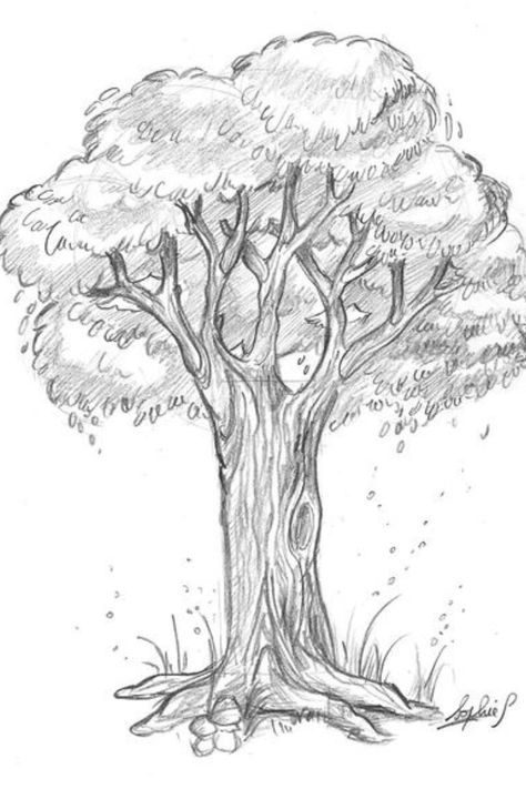 Summer Tree Drawing, Tree Sketches Pencil, Fantasy Tree Drawing, Trees Art Drawing, Tree Drawing Simple, Pencil Trees, Trees Art, Tree Textures, Nature Art Drawings