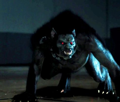 Alpha werewolves in MTV's "Teen Wolf." Leader of its pack and ability to partial transform into bipedal or fully transform into quadrupedal form. Oni Teen Wolf, Werewolf Twilight Wolves, Maned Wolf Werewolf, Werewolf Alpha, Vampire Wolf Hybrid, Wolf Pack Twilight, Teen Wolf Peter, Wolf Alpha, Argent Teen Wolf