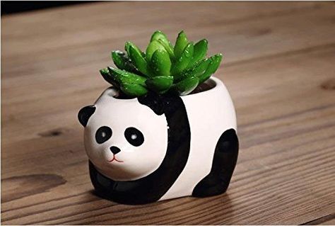 somarke Micro Landscape Succulent Plants Creative Flower Planters, Mini Plants Pot, Ceramics Decoration, Handmade, Small Plant Containers, Panda Design Succulent Planter Panda Accessories, Panda Decor, Panda Things, Panda Items, Mini Plant Pots, Panda Birthday, Panda Design, Panda Party, Panda Gifts