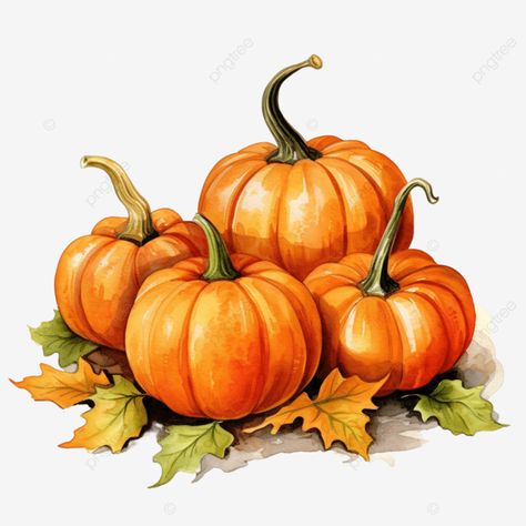 hand painted watercolor pumpkins thanksgiving pumpkins happy thanksgiving watercolor pumpkin png Thanksgiving Watercolor, Fall Drawings, Pumpkin Drawing, Pumpkin Images, Pumpkin Pictures, Pumpkin Illustration, Thanksgiving Images, Watercolor Food, Pumpkin Clipart