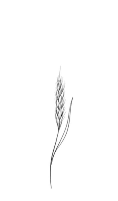 Wheat Grain Tattoo, Wheat Grass Tattoo, Wheat Tattoos For Women, Barley Tattoo, Wheat Drawing, Wheat Tattoo, Pencil Tattoo, Matching Friend Tattoos, Dog Print Tattoo