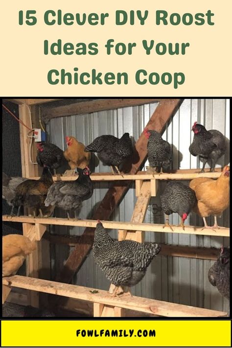 DIY Roost Ideas Chicken House Diy, Chicken Roost Ideas, Backyard Chickens Diy, Nesting Boxes Diy, Inside Chicken Coop, Chicken Coop Designs Diy, Chicken Roost, Cute Chicken Coops, Easy Chicken Coop