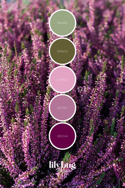 Color Palette with HEX codes by Lilybug Design • Clipart and SVG Store on Etsy • www.lilybugdesign.co.nz Lilybug Design, Friendly Graphic Design, Floral Color Palette, Color Palette With Hex Codes, Lavender Color Palette, Pantone Colour Palettes, Purple Color Palettes, Paint Color Inspiration, Color Schemes Colour Palettes