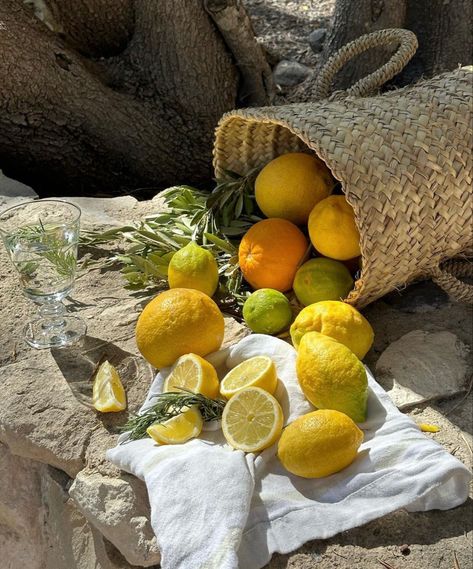 Mediterranean Aesthetic, Tattoo Plant, Italian Aesthetic, Sicilian Lemon, Lemon Tree, Italian Summer, Yellow Aesthetic, Summer Feeling, European Summer