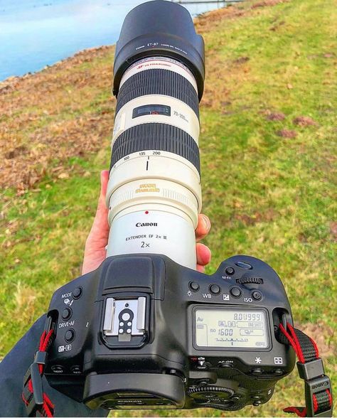 Canon 1DX MKII with a Canon 70-200mm f/2.8 + 2X extender Canon 70 200mm 2.8, Photography As A Hobby, Youtube Setup, Camera Lenses Canon, Best Vlogging Camera, Photographer Aesthetic, Nandi Hills, Canon Cameras, Cute Love Photos