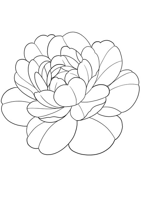 Dahlia Tattoo Design, Dahlia Embroidery, Dahlia Tattoo, Brush Photoshop, Peony Tattoo, City Flowers, Chicano Art Tattoos, Peonies Tattoo, Cute Tattoos For Women