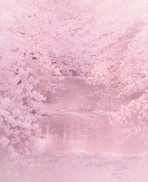 Cherry Blossom Goddess, Light Pink Images Aesthetic, Pink Kitsune Aesthetic, Luvssoft Pink Wallpaper, Pink Universe, Tokyo Nightlife, Pink Princess Aesthetic, Pink Cafe, Pink Wallpaper Hello Kitty