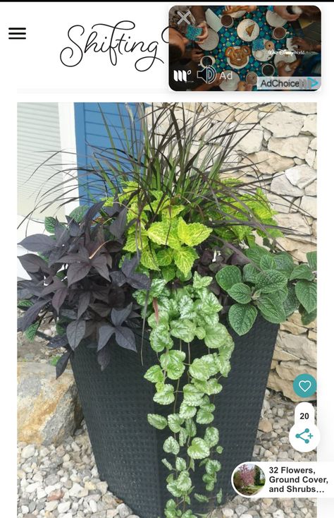 Flower Bed With Coleus, Shade Garden Container Planters, Corner Container Garden Ideas, Shaded Front Porch Potted Plants, Shady Planter Ideas, Shade Flower Pot Ideas, Full Shade Planter Ideas, Shady Front Porch Plants, Shady Porch Container Plants