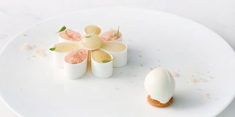 Coconut Plated Desserts, Pineapple Plated Dessert, Pavlova Plated Dessert, Yuzu Plated Dessert, Pavlova Tropical, Lemon Skin, Flower Desserts, Lemon Flowers, Lemon Sugar