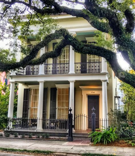 Beyond Bourbon St Podcast-NOLA on Instagram: “This Lower Garden District home is a stunner, and is nestled behind a gorgeous live oak. 😍” Garden District Homes, Nola Garden District Homes, New Orleans Houses French Quarter, American Colonial Architecture, Big New Orleans House, New Orleans Row Houses, Classic Houses, New Orleans Apartment Building, Nola Style