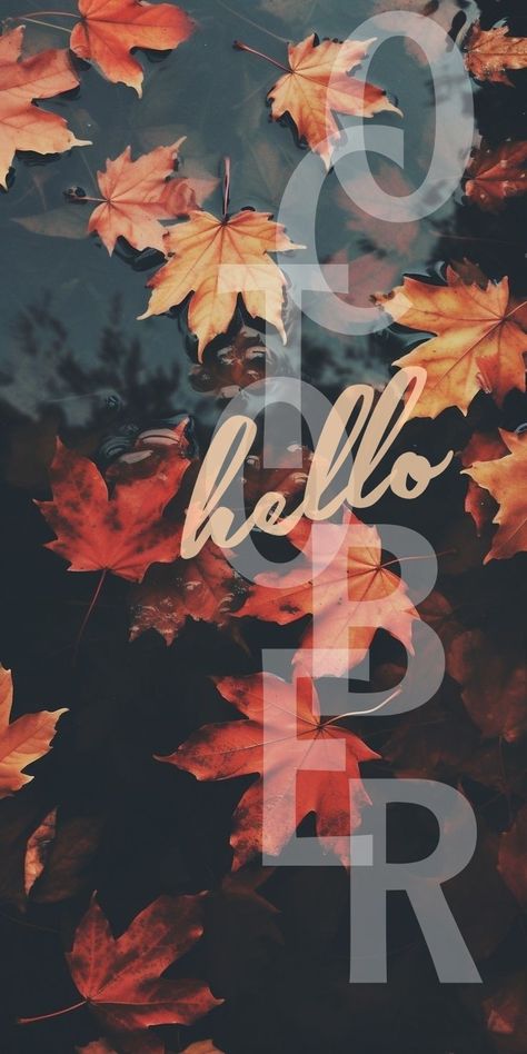 Insta story, fall Holiday Iphone Wallpaper, Hello October, Insta Stories, Fall Wallpaper, Phone Screen, Insta Story, Good Morning, Iphone Wallpaper, Screen