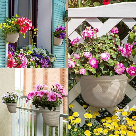 Amazon.com: Amazing Creation Wall and Railing Plastic Pots, Hanging Planters with S Hooks, Indoor and Outdoor Half Round Plant Holders for Fence, Balcony or Rails, Display Herb Gardens, Flowers or Plants (2 Pack) : Patio, Lawn & Garden Hanging Wall Planters Indoor, Hanging Basket Garden, Fence Balcony, Plastic Hanging Planters, Flower Pot Hanger, Indoor Plant Wall, Wall Planters Indoor, Hanging Wall Planters, Gardens Flowers