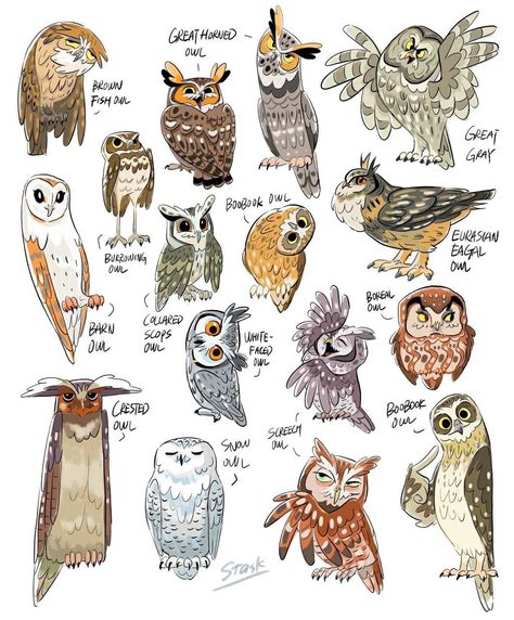 Cool Owl Drawing, How To Draw Owls, Owl Cute Drawing, How To Draw An Owl, Owl Fursona, How To Draw Owl, Owl Illustration Art, Cartoon Owl Drawing, Drawing Owls