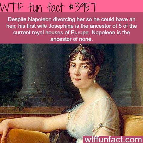 Napoleon’s first wife - WTF fun facts  burn! Odd Facts, American History X, What The Fact, History Jokes, History Nerd, Liam Hemsworth, Afro Punk, Historical Facts, Interesting History