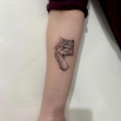 Realism Cat Tattoo, Cat Tattoo Realism, Cat Tattoo Realistic, Minimal Cat Tattoo, Southside Tattoo, Microrealism Tattoo, Nature Tattoo Ideas, Micro Realism, Realism Tattoos