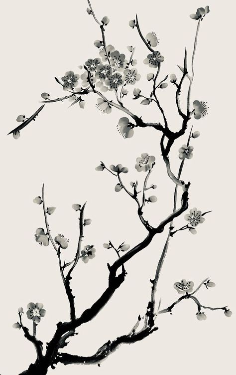 Cherry Branch Tattoo, Cherry Blossom Tattoo On Back, Cherry Blossom Branch Tattoo, Cherry Blossom Tattoo Design, Black And White Cherry Blossom, Japanese Cherry Blossom Tattoo, Tree Tattoo Black, Japanese Tattoo Words, Cherry Blossom Tree Tattoo