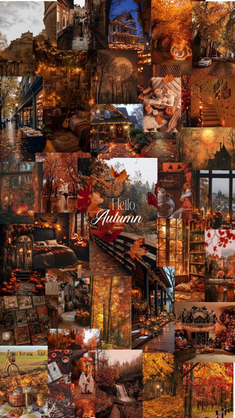 Here’s a aesthetic✨✨ autumn collage for your home screen + Lock Screen Autumn Collage, Home Screen Lock Screen, Screen Lock, A Aesthetic, Aesthetic Autumn, Autumn Quotes, Fall Pictures, Autumn Aesthetic, Home Screen