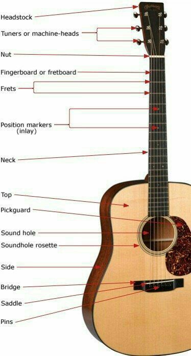 Songs Guitar, Learn Acoustic Guitar, Acoustic Guitar Case, Learn Guitar Chords, Basic Guitar Lessons, Guitar Lessons Songs, Online Guitar Lessons, Guitar Tabs Songs, Acoustic Guitar Lessons