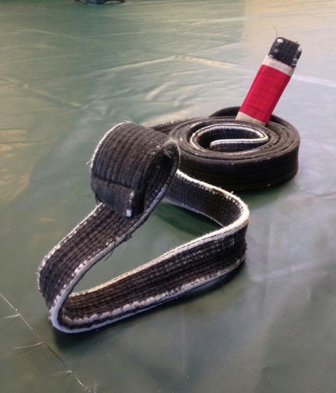 Worlds deadliest snake, the bjj black belt Andre Galvao, Bjj Tattoo, Eddie Bravo, Belts Aesthetic, Bjj Black Belt, Jiu Jitsu Belts, Martial Arts Clothing, Bjj Belts, Jiu Jitsu Gi