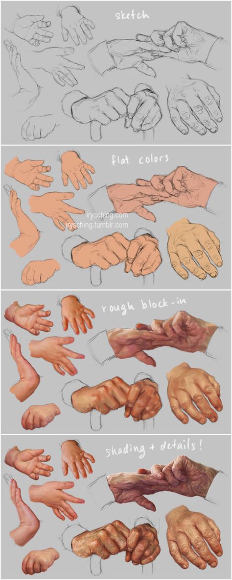 Hand Study, Hand Reference, Anatomy Drawing, Digital Painting Tutorials, Art Instructions, Anatomy Reference, Drawing Lessons, Digital Art Tutorial, Caricatures