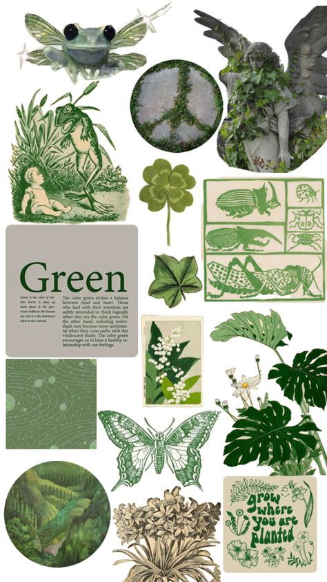 #plants #green #fae #aesthetic #greenplants #greenstickers #stickers #print #printables #leafs #herbs #greenstickers Cute Aesthetic Stickers Printable, Sticker Sheets Aesthetic Printable, Free Stickers Printables Aesthetic, Stickers Journal Aesthetic, Green Sticker Aesthetic, Green Aesthetic Prints, Green Scrapbook Ideas, Stickers Printable Green, Green Printable Stickers